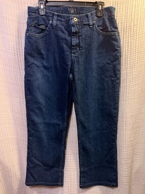 Riders by Lee Straight Leg Jeans in Dark Blue size 12P -I